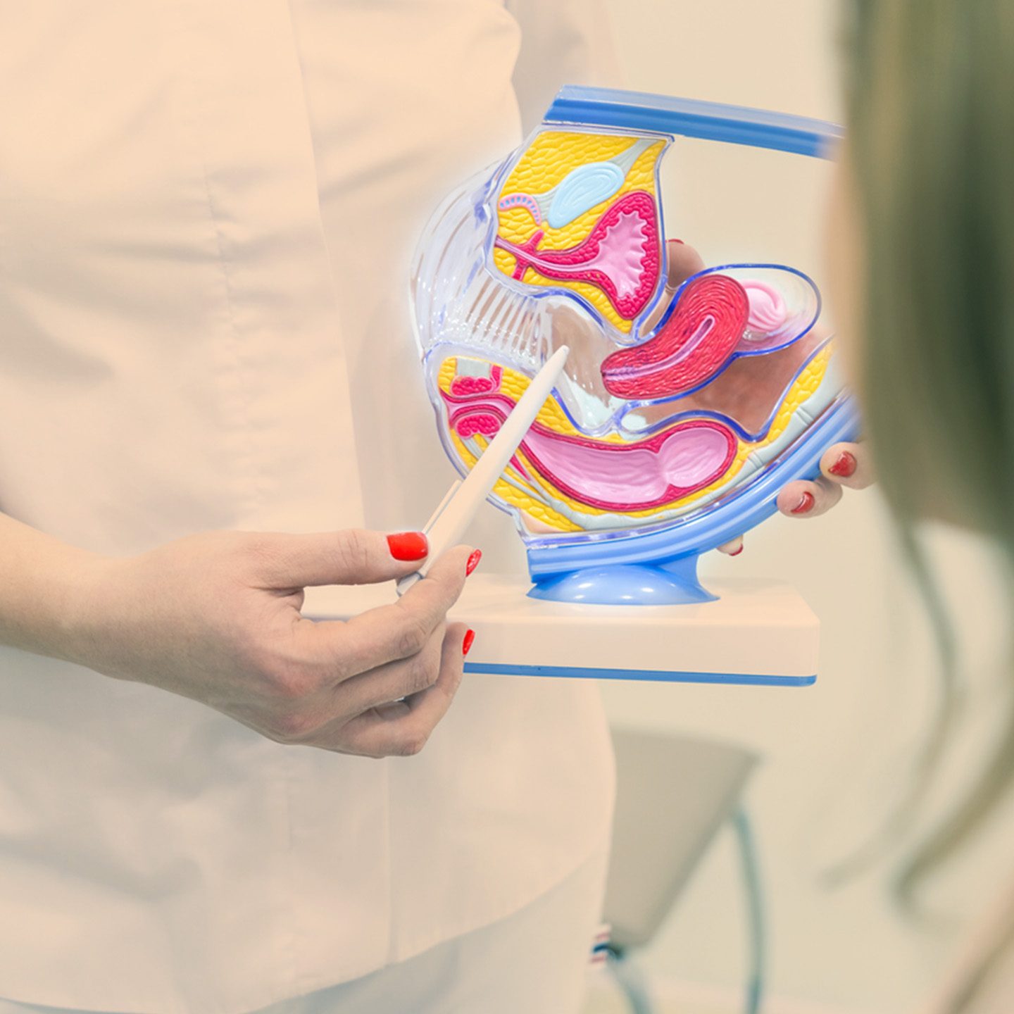 Gynecology