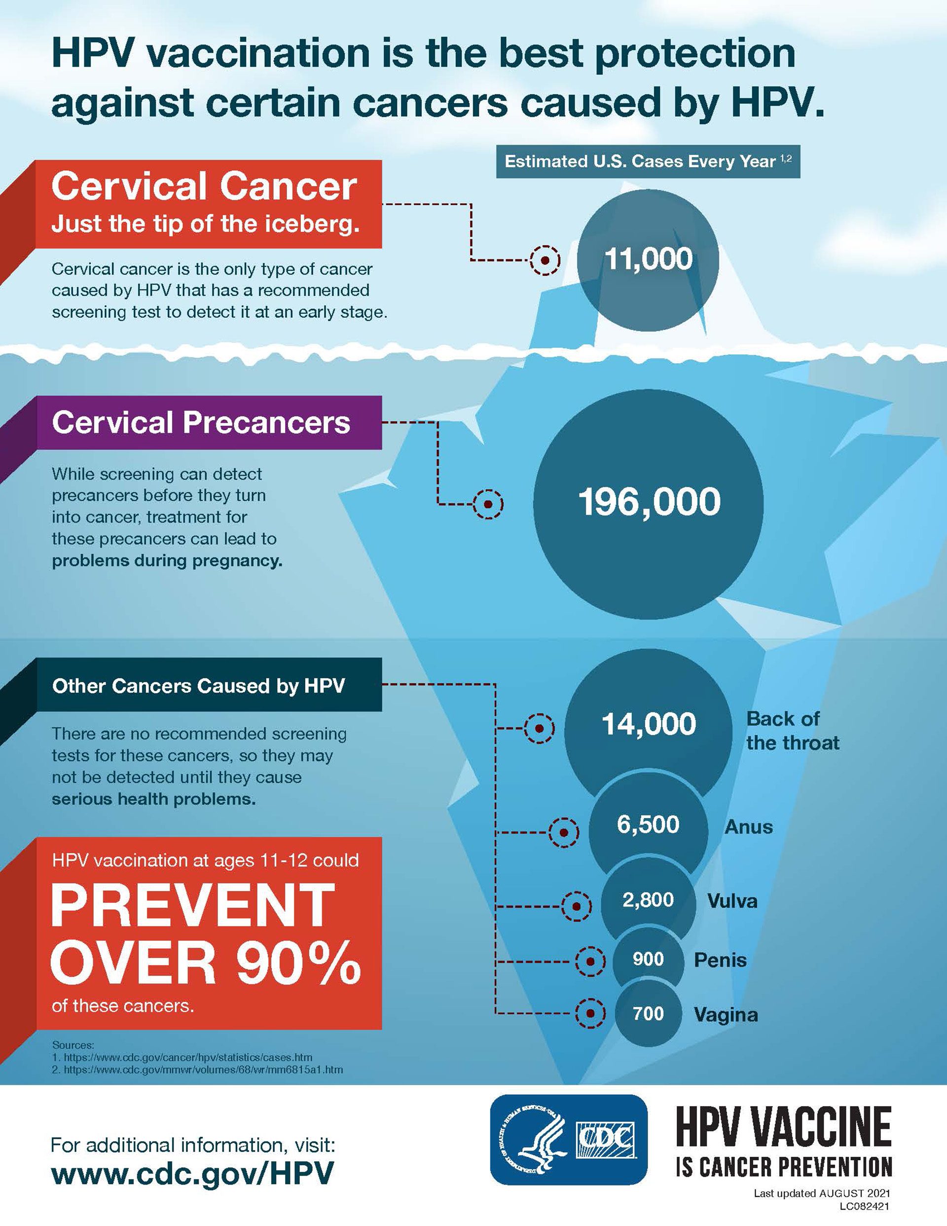 HPV Infographic
